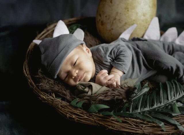 portrait de nouveau-né thème dinosaure