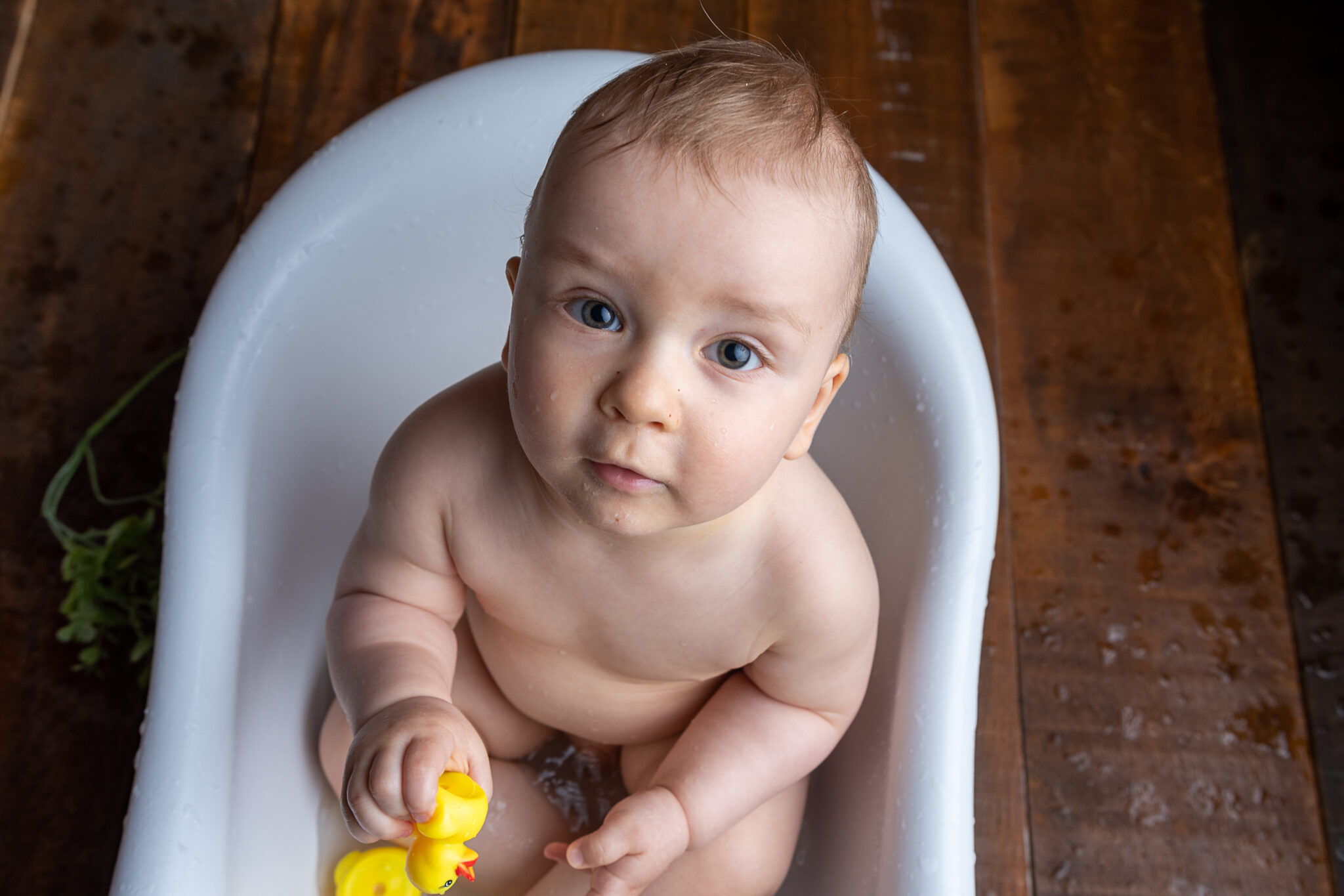 portrait bébé dans son bain pour son premier anniversaire